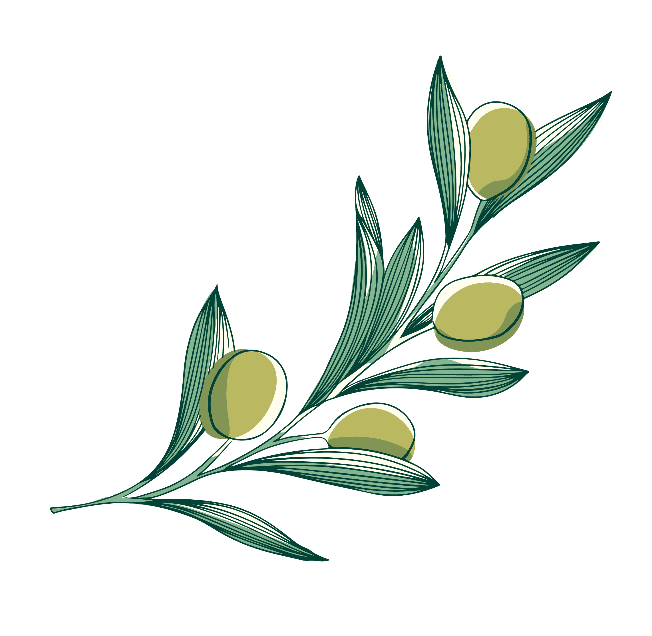 Bianco Salento Bottle
