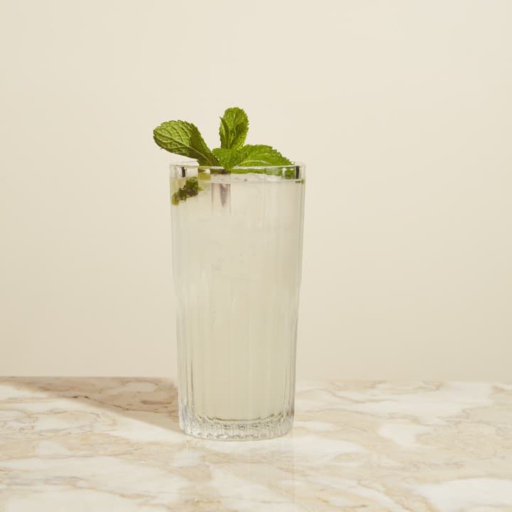 Lime & Mint Twist