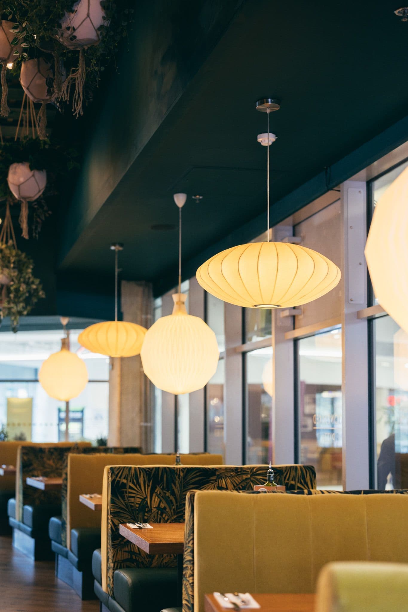 web__ask-italian-bournemouth_CLP_6172
