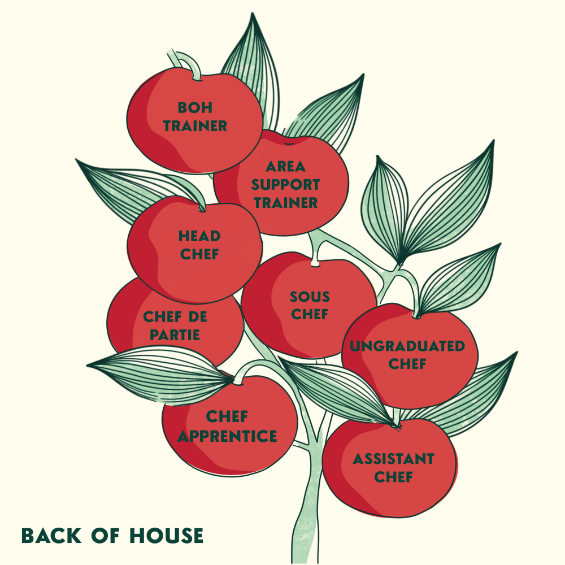 Back of house career opportunities 
